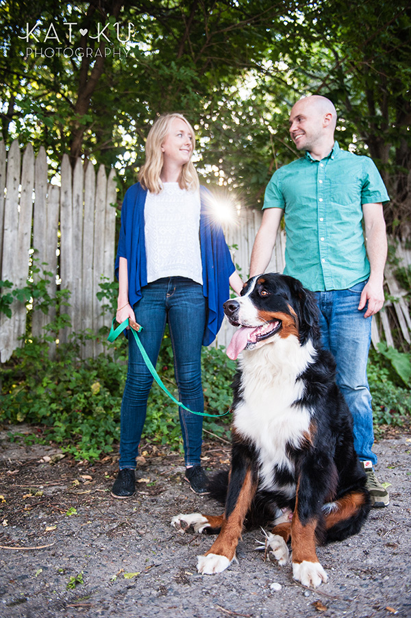 Kat Ku_Bernese Mountain Dog_Detroit Pet Photography_11