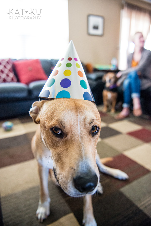 All Rights Reserved_Kat Ku_Birthday Puppy Party_21
