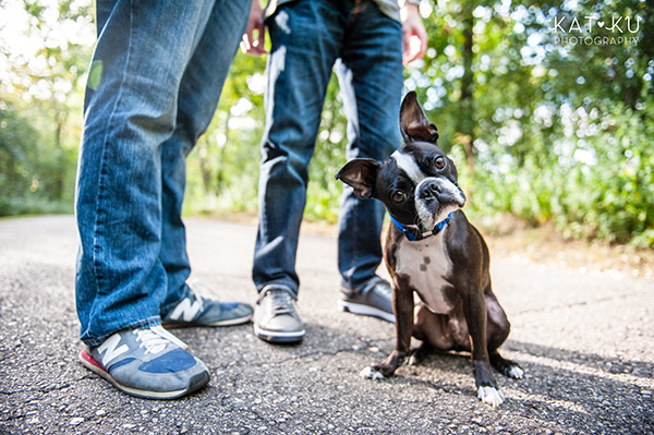 All Rights Reserved_Kat Ku_Franklin Boston Terrier_08