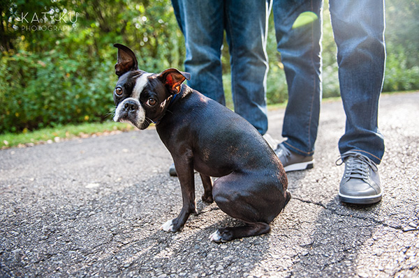 All Rights Reserved_Kat Ku_Franklin Boston Terrier_09