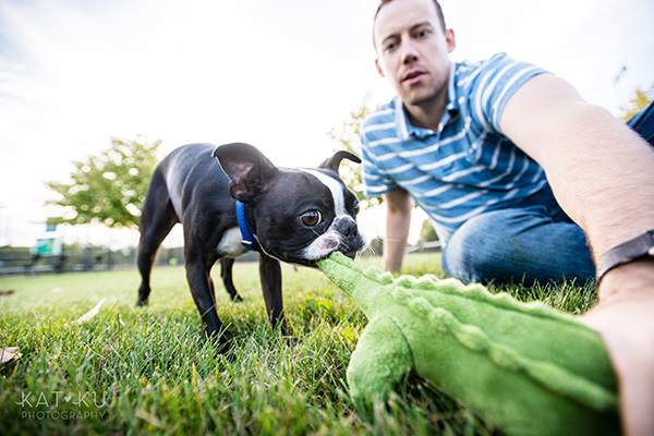 All Rights Reserved_Kat Ku_Franklin Boston Terrier_10