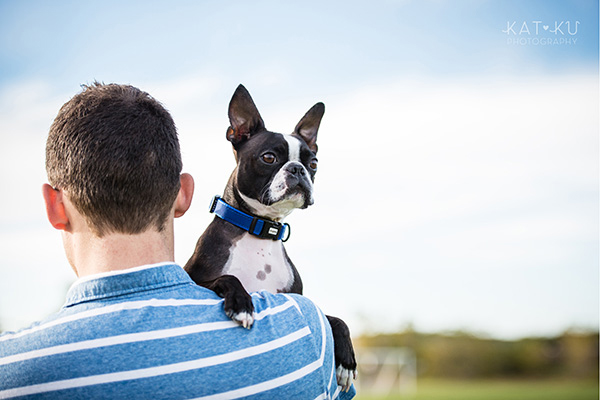 All Rights Reserved_Kat Ku_Franklin Boston Terrier_14
