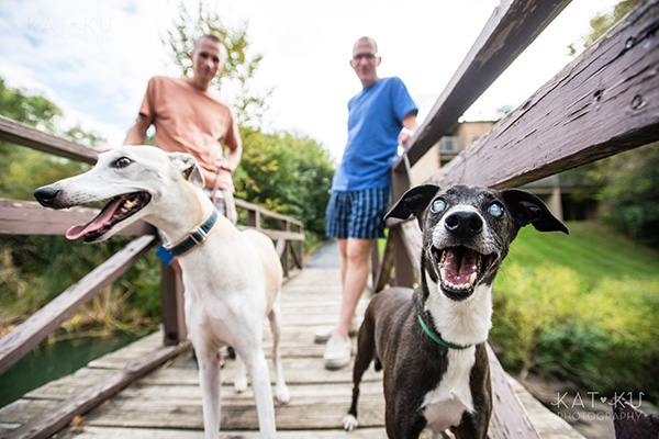 All Rights Reserved_Kat Ku_Italian Greyhound and Whippet_10