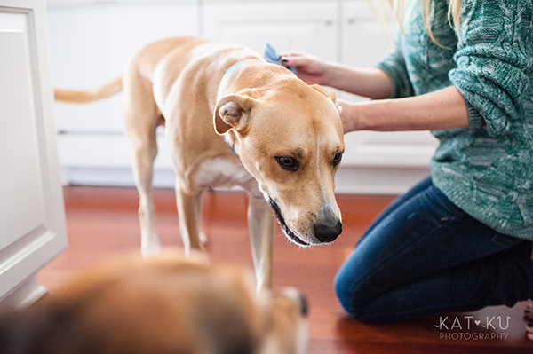 All Rights Reserved_Kat Ku_Puppy Party Birthday Bash_02