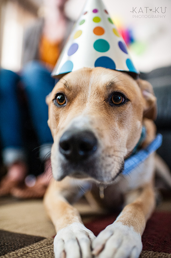 All Rights Reserved_Kat Ku_Puppy Party Birthday Bash_04