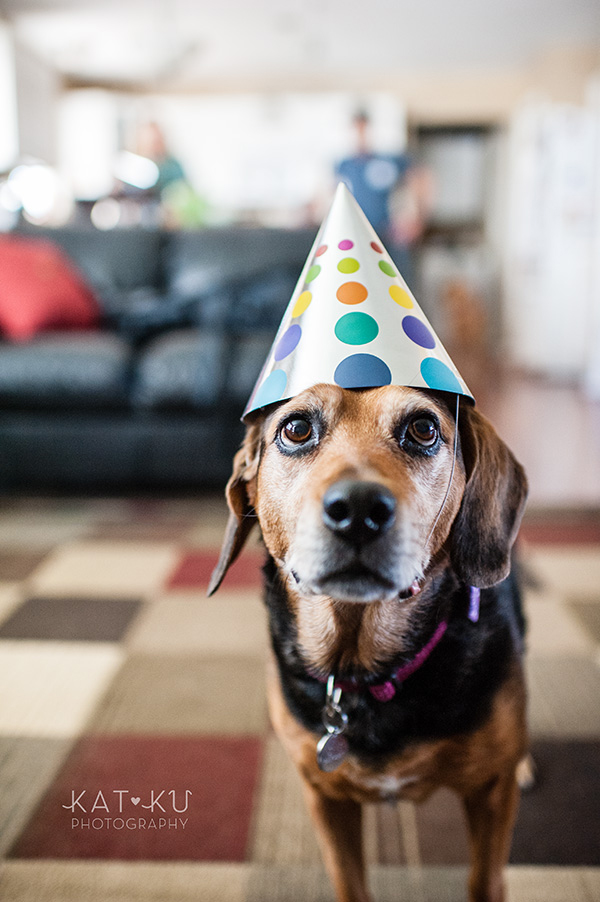 All Rights Reserved_Kat Ku_Puppy Party Birthday Bash_09