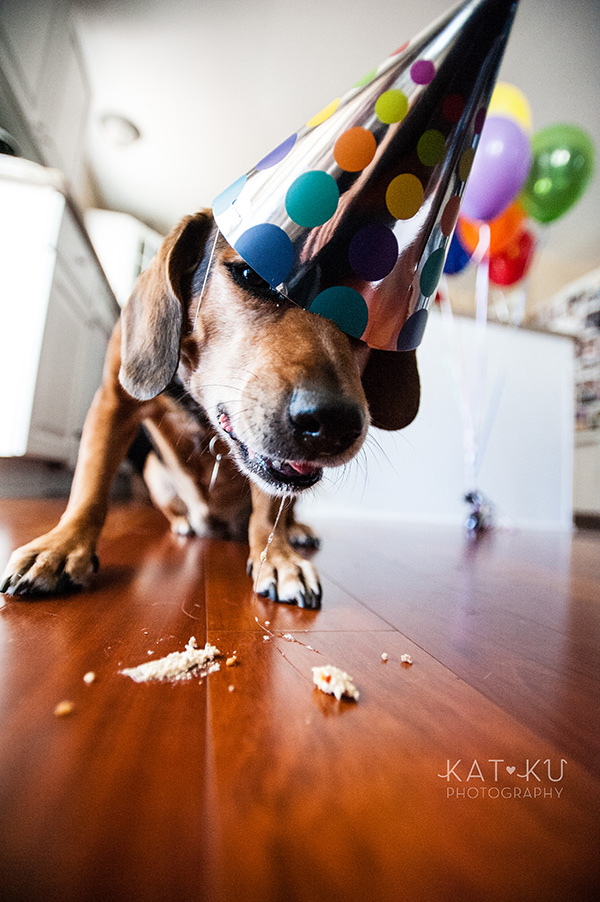 All Rights Reserved_Kat Ku_Puppy Party Birthday Bash_20