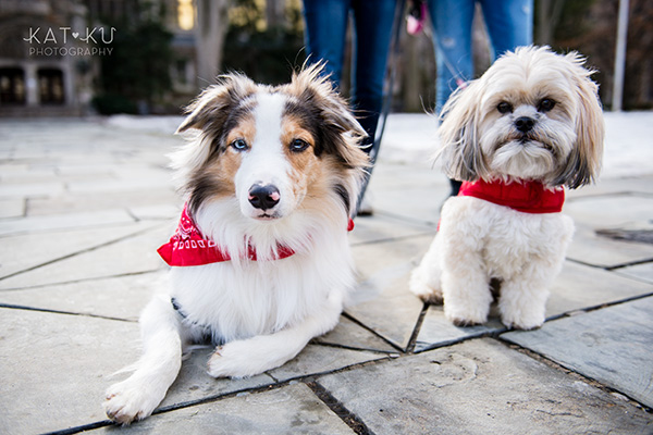 Kat Ku - Riley and Rory