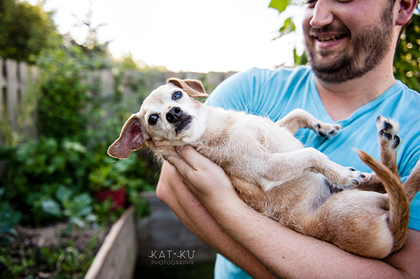 kat-ku-photography-detroit-michigan-dog-photos_14