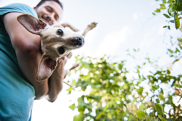 kat-ku-photography-detroit-michigan-dog-photos_15