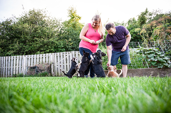 kat-ku-photography-detroit-michigan-dog-photos_27