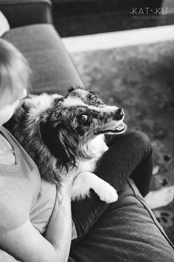 kat-ku-sara-australian-shepherd_05