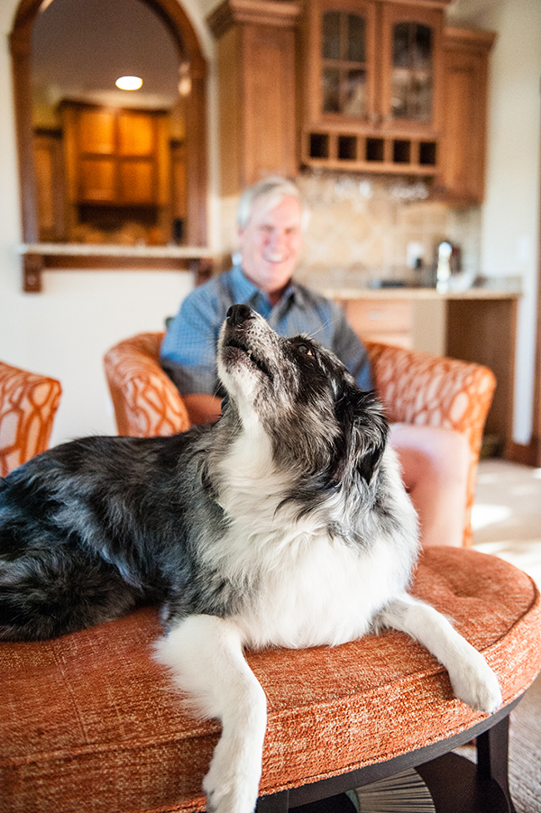 kat-ku-sara-australian-shepherd_11