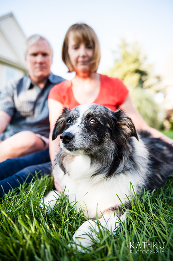 kat-ku-sara-australian-shepherd_14