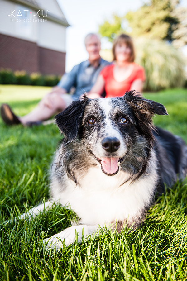 kat-ku-sara-australian-shepherd_17